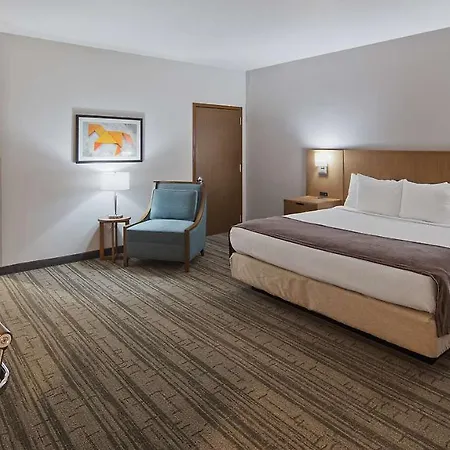 Best Western Green Oak Inn & Suites